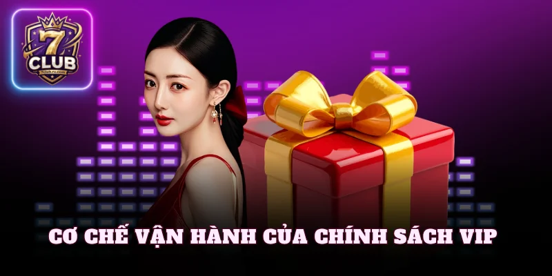 Cơ chế vận hành của chính sách VIP 