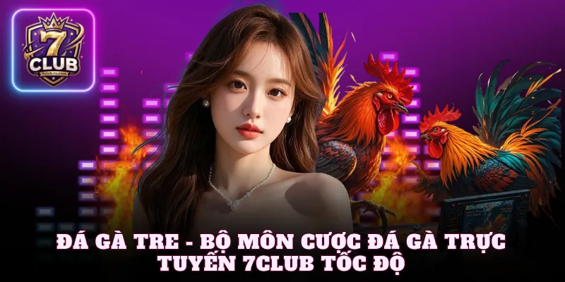 Đá gà tre