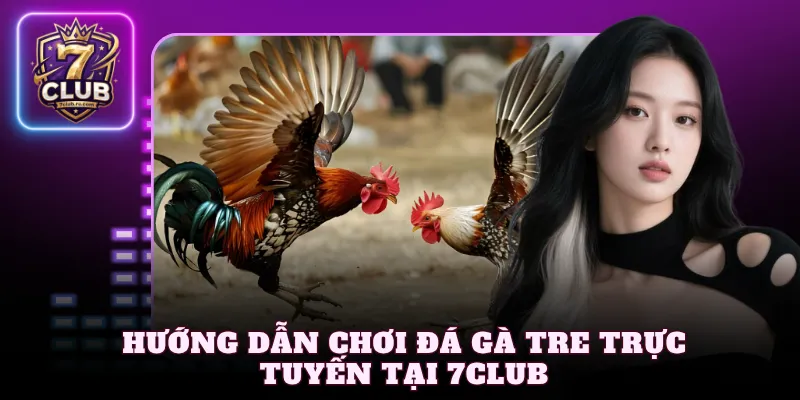 Hướng dẫn chơi đá gà tre trực tuyến tại 7Club