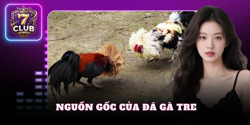 Nguồn gốc của đá gà tre