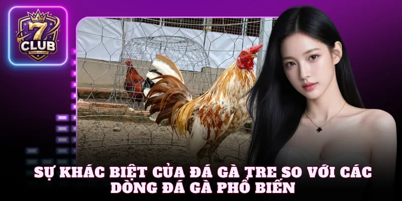 Sự khác biệt của đá gà tre so với các dòng đá gà phổ biến